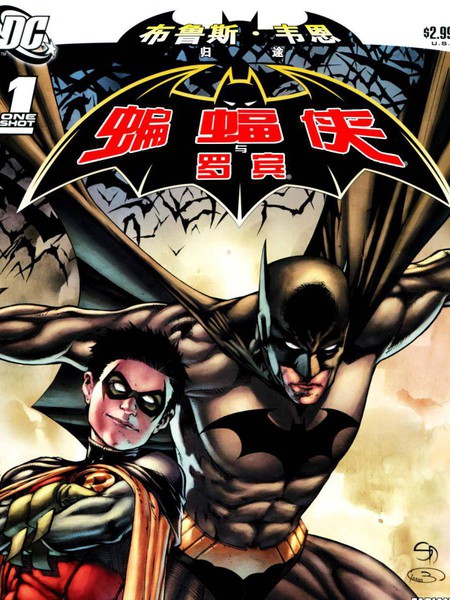 蝙蝠侠归途:布鲁斯韦恩