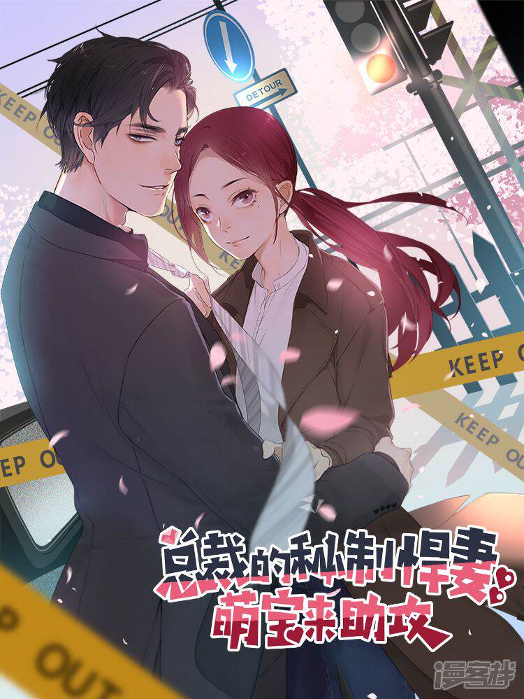 总裁的秘制悍妻萌宝来助攻