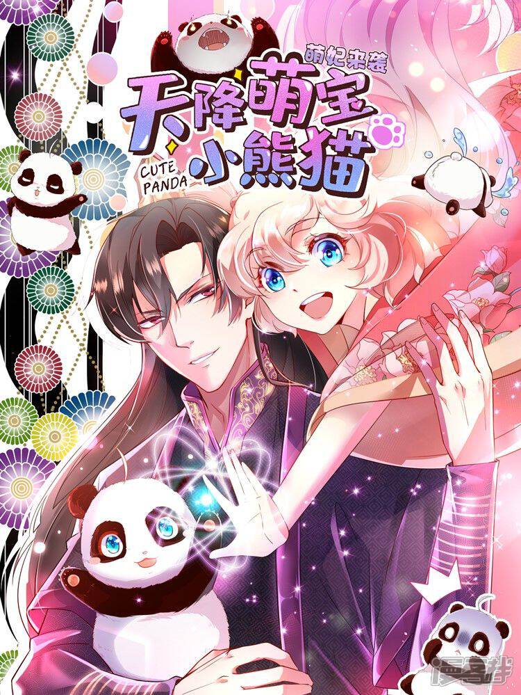 天降萌宝小熊猫萌妃来袭