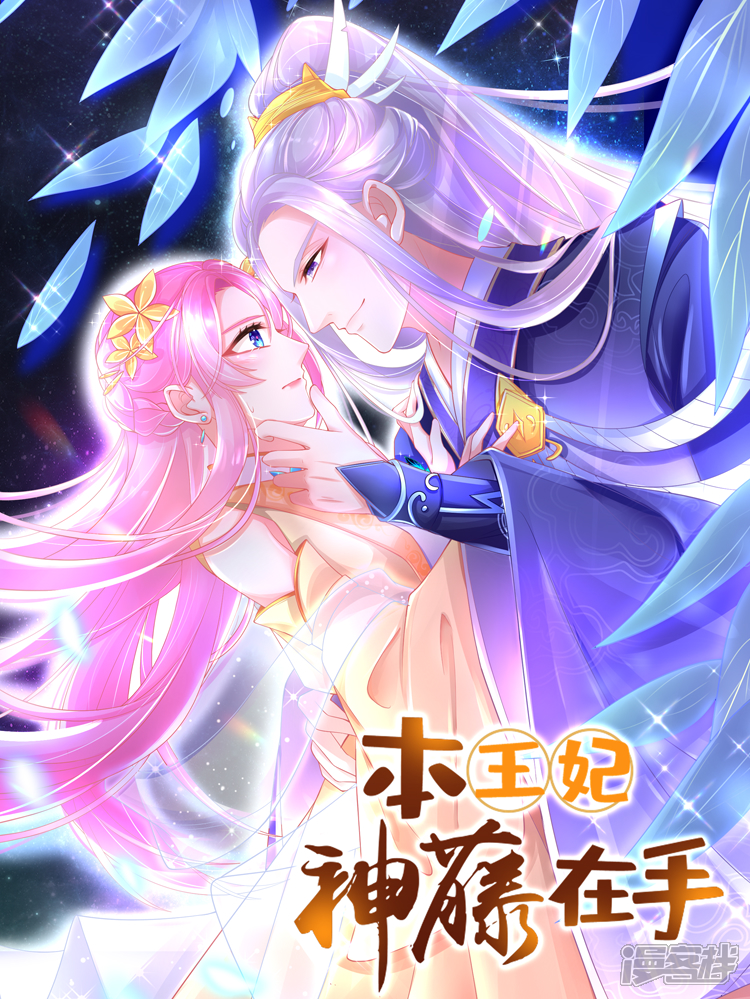 本王妃神藤在手