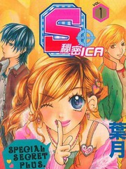 S.秘密ICA